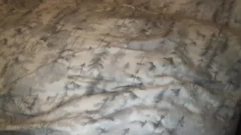 FitCollegeStudxx online show from 25, 2, 2025