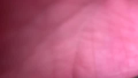 fittallhungdilf online show from 20, 12, 2024