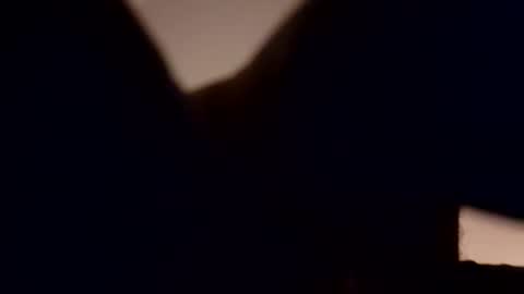 Nate online show from 15, 9, 2025