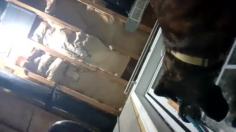 Nate online show from 25, 9, 2025