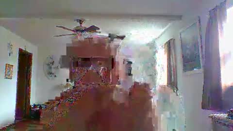 flamale65to online show from 9, 5, 2026