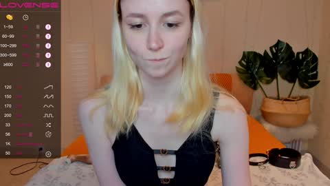 Snapshot of fleximona chatting on 8, 12, 2024 FlexiMona online show from 8, 12, 2024