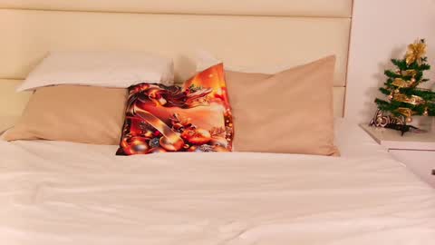 Snapshot of florentina2004 chatting on 23, 12, 2024 Vanessa online show from 23, 12, 2024