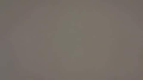 Snapshot of floribu57 chatting on 19, 11, 2025 floribu57 online show from 19, 11, 2025