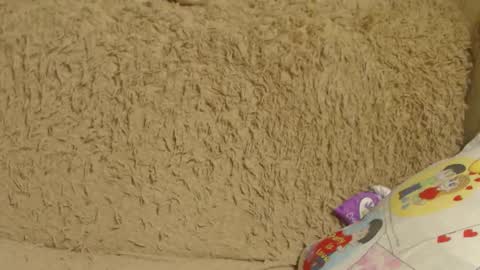 say meow and send tip  online show from 26, 12, 2024