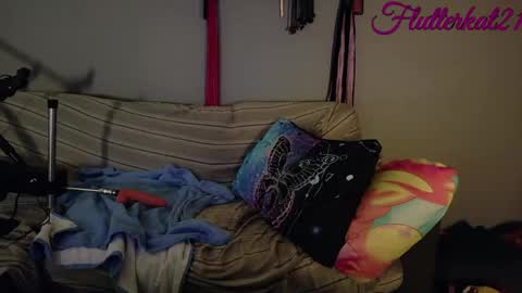 FlutterKat online show from 12, 3, 2026