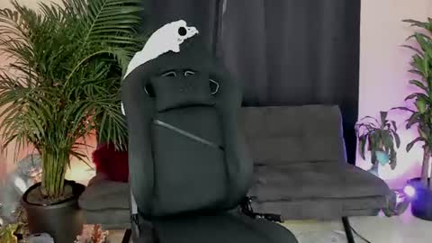 Snapshot of foniland_ chatting on 15, 6, 2026 Foni online show from 15, 6, 2026