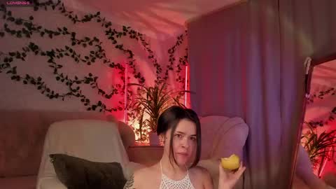    online show from 1, 5, 2026