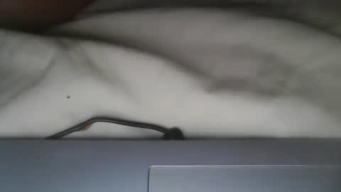 Snapshot of foxylady000 chatting on 30, 5, 2026 foxylady000 online show from 30, 5, 2026