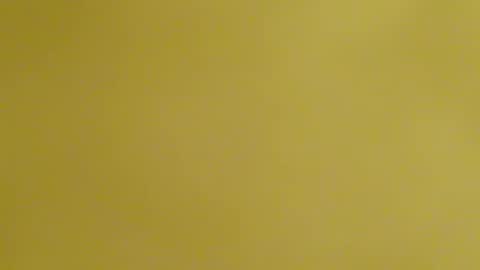 Snapshot of frankyb0yforeal chatting on 24, 2, 2026 frankyb0yforeal online show from 24, 2, 2026