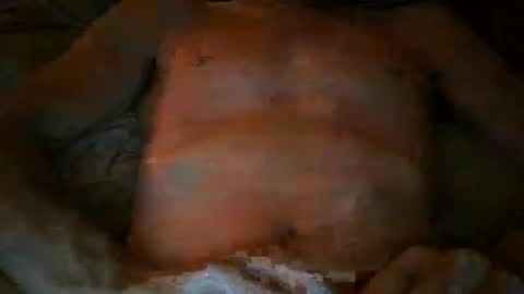 free willy online show from 17, 11, 2025