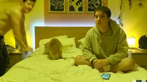 French Horny Bibs online show from 26, 1, 2025