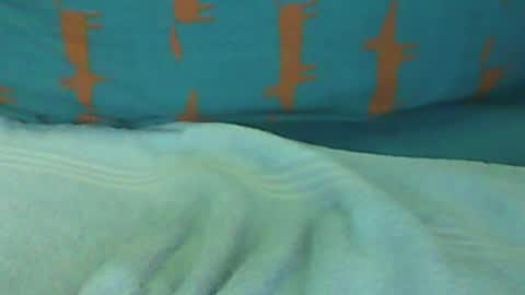fry online show from 22, 7, 2026