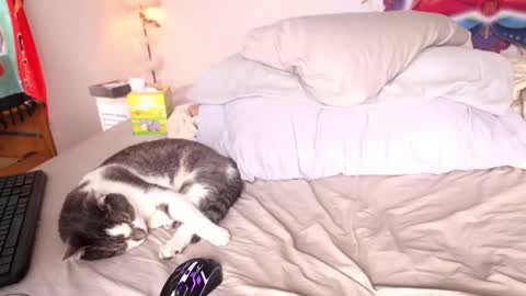 fuckmypussyplz1 online show from 1, 2, 2025