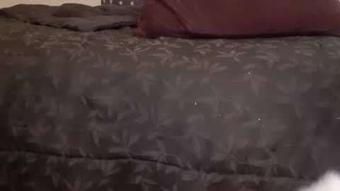 Pizzaz online show from 14, 1, 2025