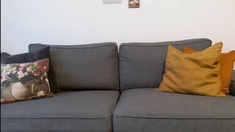 funservice online show from 17, 12, 2024