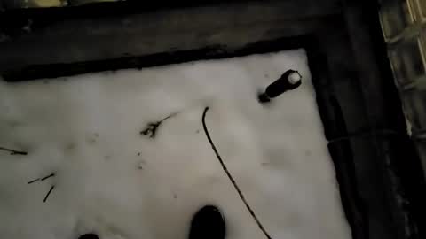 Snapshot of funtimesz143 chatting on 24, 12, 2024 funtimesz143 online show from 24, 12, 2024