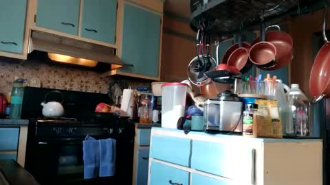 77daddy online show from 9, 3, 2025