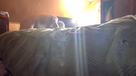 77daddy online show from 23, 2, 2026