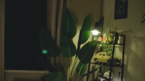 G online show from 26, 2, 2026