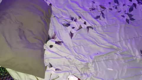 gabriel online show from 16, 3, 2026