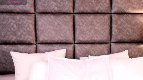     online show from 17, 11, 2025