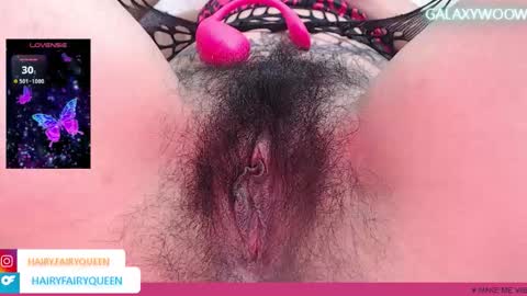 Gala online show from 12, 2, 2026