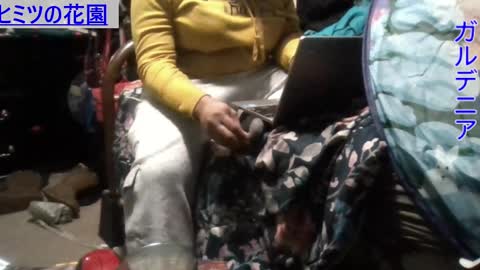 Snapshot of gardeniaspear chatting on 9, 12, 2024 Gardenia online show from 9, 12, 2024