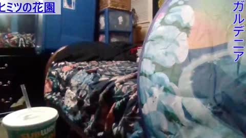 Snapshot of gardeniaspear chatting on 25, 12, 2024 Gardenia online show from 25, 12, 2024