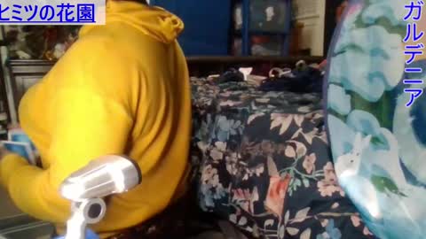 Snapshot of gardeniaspear chatting on 28, 12, 2024 Gardenia online show from 28, 12, 2024
