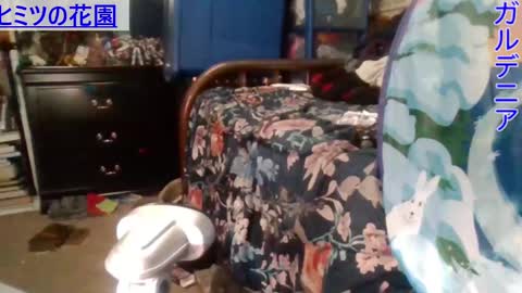 Snapshot of gardeniaspear chatting on 28, 12, 2024 Gardenia online show from 28, 12, 2024