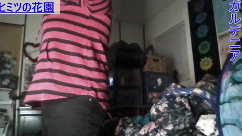 Snapshot of gardeniaspear chatting on 7, 1, 2025 Gardenia online show from 7, 1, 2025
