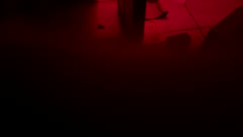 garrick358091 online show from 3, 11, 2025