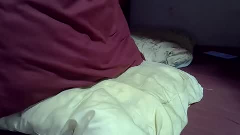 gasielah online show from 2, 2, 2026