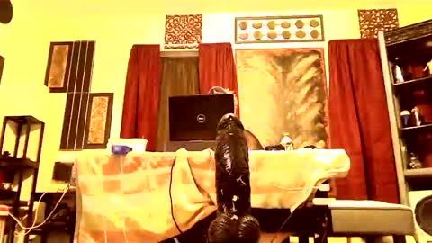 Snapshot of gatewaylaptop2019 chatting on 9, 3, 2025 gatewaylaptop2019 online show from 9, 3, 2025