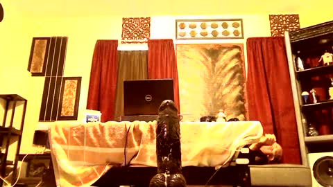 Snapshot of gatewaylaptop2019 chatting on 9, 3, 2025 gatewaylaptop2019 online show from 9, 3, 2025