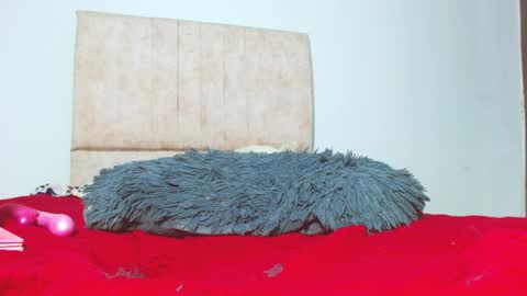 gatita13333321 online show from 26, 1, 2025