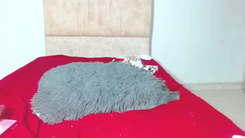 gatita13333321 online show from 28, 1, 2025