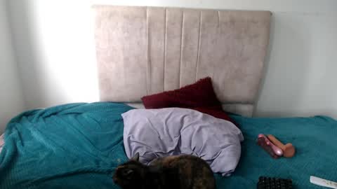 gatita13333321 online show from 13, 4, 2026