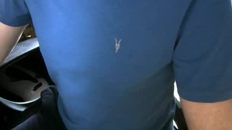 gay slave on cam online show from 5, 10, 2025