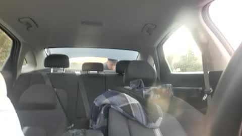 geegeegee552051 online show from 2, 11, 2025