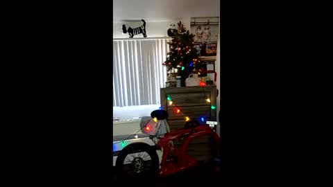 Zanecubano online show from 4, 12, 2025