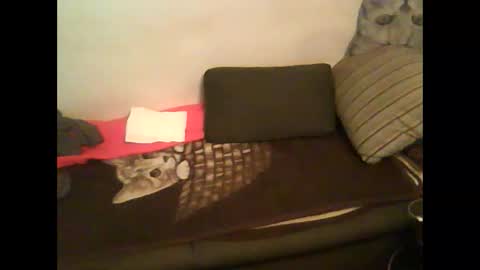 Snapshot of germantslover39 chatting on 7, 2, 2025 Alex39 online show from 7, 2, 2025