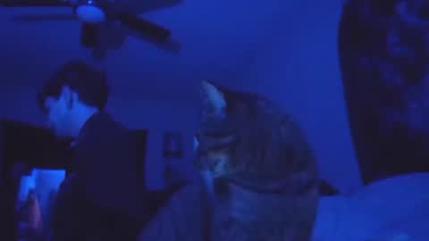 SrirachaSwitchblade  online show from 13, 11, 2025