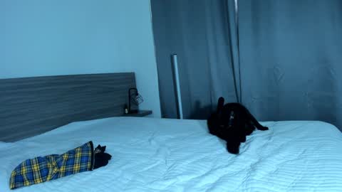 giannasue online show from 11, 1, 2025