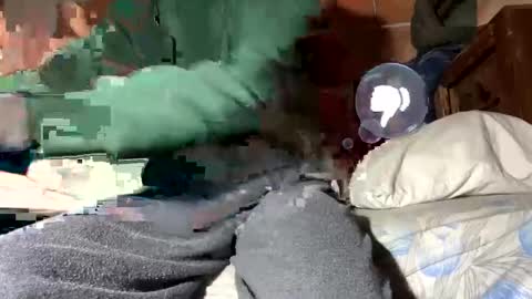 Snapshot of gicobest chatting on 12, 1, 2025 Corrado online show from 12, 1, 2025