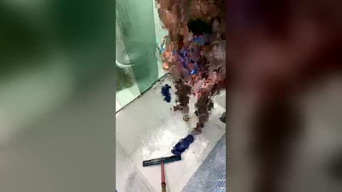 gifted online show from 20, 4, 2026