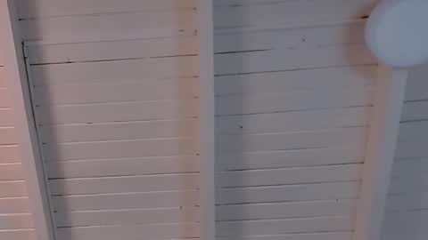 gigi wilden online show from 12, 2, 2025