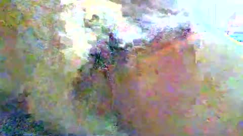 Snapshot of gilou34 chatting on 11, 6, 2026 gilou34 online show from 11, 6, 2026