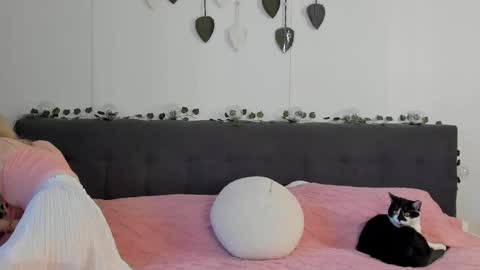 Gin online show from 19, 3, 2026